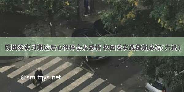 院团委实习期过后心得体会及感悟 校团委实践部期总结(六篇)