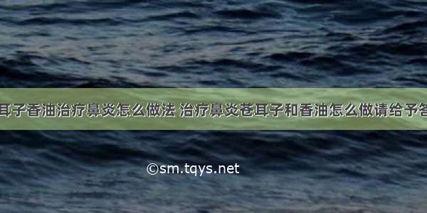 苍耳子香油治疗鼻炎怎么做法 治疗鼻炎苍耳子和香油怎么做请给予答复