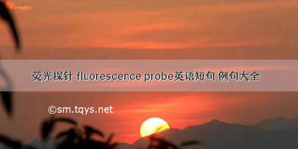 荧光探针 fluorescence probe英语短句 例句大全