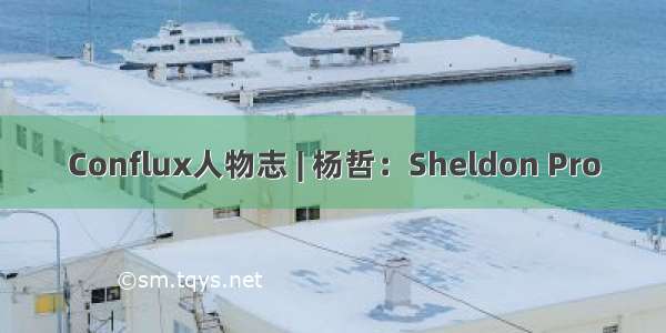 Conflux人物志 | 杨哲：Sheldon Pro