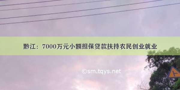 黔江：7000万元小额担保贷款扶持农民创业就业