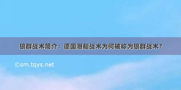 狼群战术简介：德国潜艇战术为何被称为狼群战术？