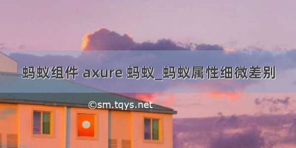 蚂蚁组件 axure 蚂蚁_蚂蚁属性细微差别