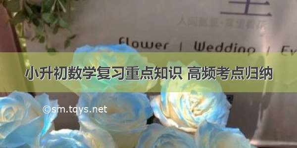 小升初数学复习重点知识 高频考点归纳