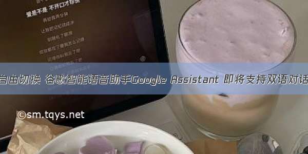 自由切换 谷歌智能语音助手Google Assistant 即将支持双语对话