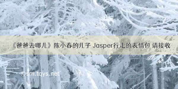 《爸爸去哪儿》陈小春的儿子 Jasper行走的表情包 请接收