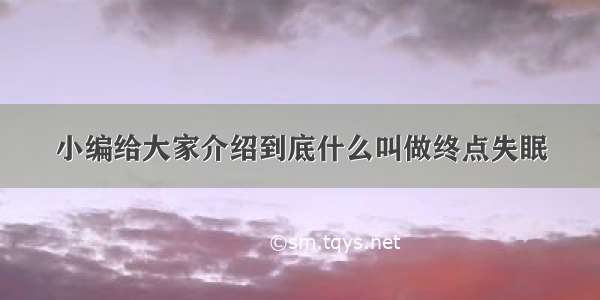 小编给大家介绍到底什么叫做终点失眠