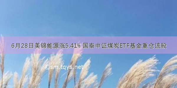 6月28日美锦能源涨5.41% 国泰中证煤炭ETF基金重仓该股