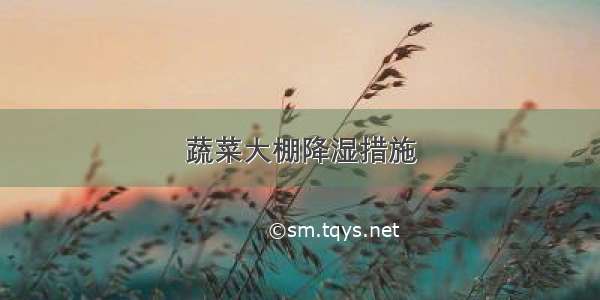 蔬菜大棚降湿措施