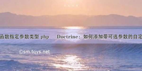 php自定义函数指定参数类型 php – Doctrine：如何添加带可选参数的自定义函数？...