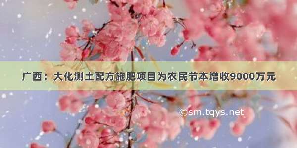 广西：大化测土配方施肥项目为农民节本增收9000万元