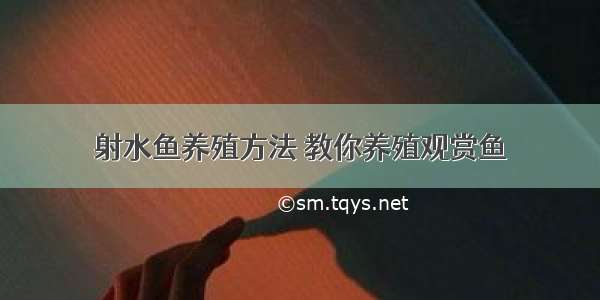 射水鱼养殖方法 教你养殖观赏鱼