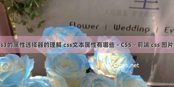 关于css3的属性选择器的理解 css文本属性有哪些 – CSS – 前端 css 图片 半透明