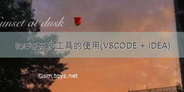 IDE等开发工具的使用(VSCODE + IDEA)