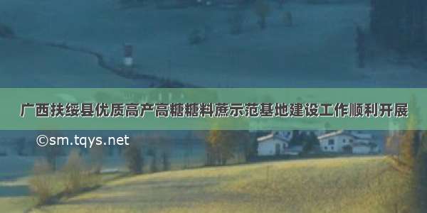 广西扶绥县优质高产高糖糖料蔗示范基地建设工作顺利开展