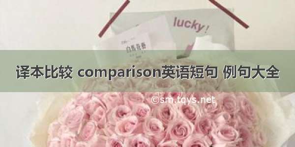 译本比较 comparison英语短句 例句大全