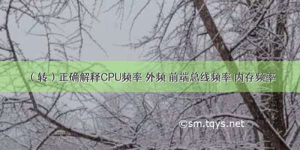 （转）正确解释CPU频率 外频 前端总线频率 内存频率