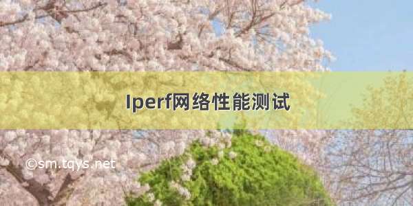 Iperf　网络性能测试