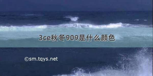 3ce秋冬909是什么颜色