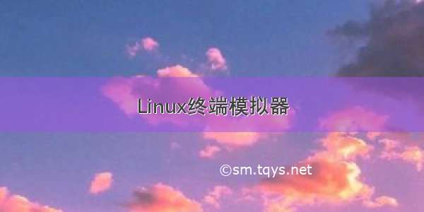 Linux终端模拟器