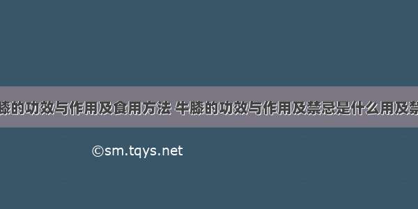 牛膝的功效与作用及食用方法 牛膝的功效与作用及禁忌是什么用及禁忌