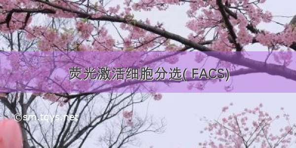 荧光激活细胞分选( FACS)