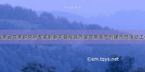 云南省甘蔗研究所专家到新平县指导万亩甘蔗高产创建示范活动工作