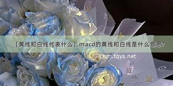 【黄线和白线代表什么】macd的黄线和白线是什么意思?