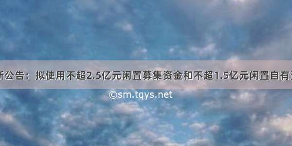 亚康股份最新公告：拟使用不超2.5亿元闲置募集资金和不超1.5亿元闲置自有资金进行现金