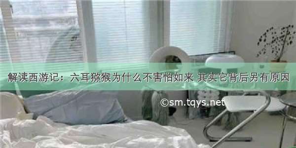 解读西游记：六耳猕猴为什么不害怕如来 其实它背后另有原因