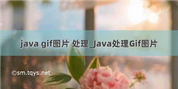 java gif图片 处理_Java处理Gif图片