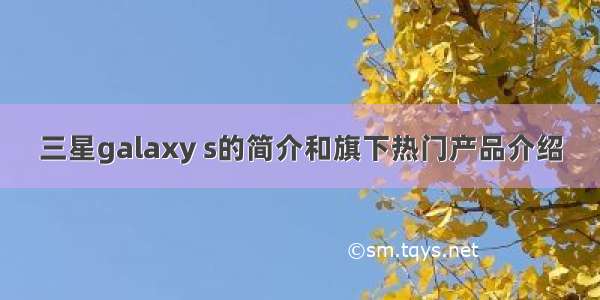 三星galaxy s的简介和旗下热门产品介绍