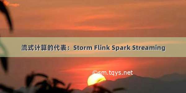 流式计算的代表：Storm Flink Spark Streaming