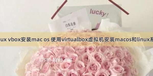 linux vbox安装mac os 使用virtualbox虚拟机安装macos和linux系统