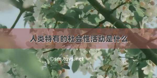 人类特有的社会性活动是什么