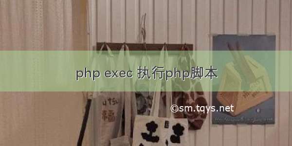 php exec 执行php脚本