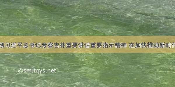 坚定坚决贯彻习近平总书记考察吉林重要讲话重要指示精神 在加快推动新时代吉林全面振