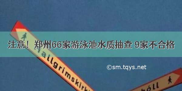 注意！郑州66家游泳池水质抽查 9家不合格