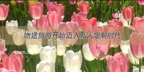 吻途旅游开始迈入私人定制时代