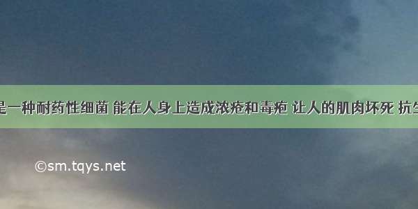 超级病菌是一种耐药性细菌 能在人身上造成浓疮和毒疱 让人的肌肉坏死 抗生素药物对