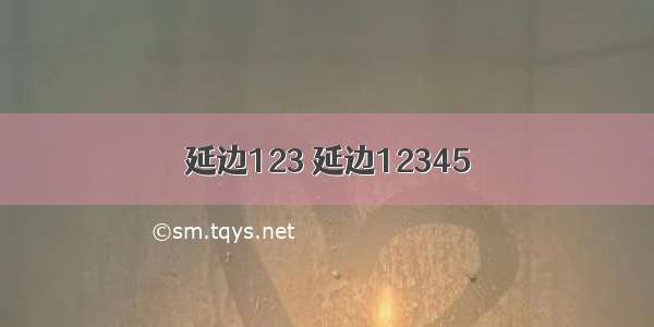 延边123 延边12345