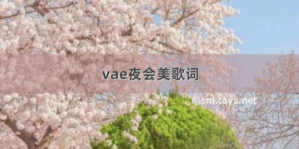 vae夜会美歌词