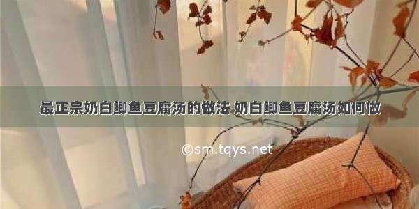 最正宗奶白鲫鱼豆腐汤的做法 奶白鲫鱼豆腐汤如何做