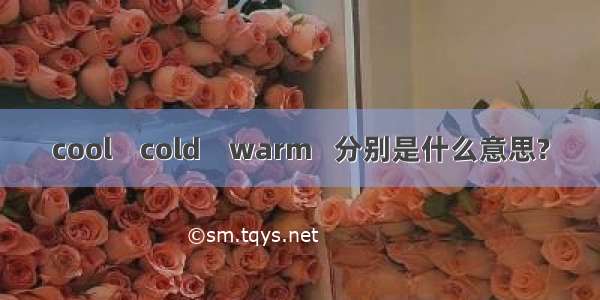 cool    cold    warm   分别是什么意思?