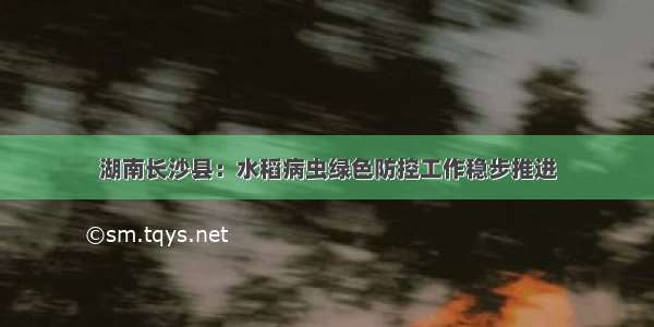 湖南长沙县：水稻病虫绿色防控工作稳步推进