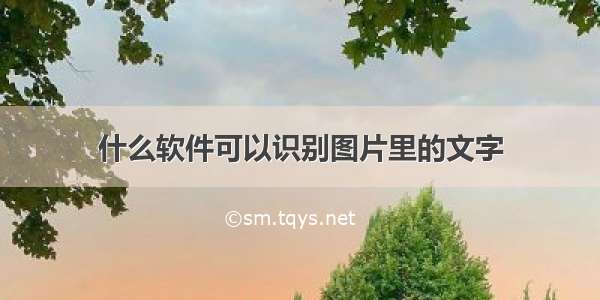 什么软件可以识别图片里的文字