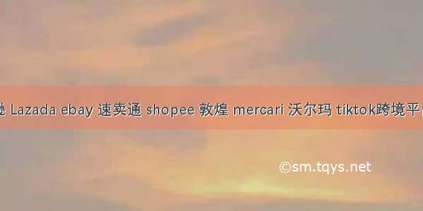 亚马逊 Lazada ebay 速卖通 shopee 敦煌 mercari 沃尔玛 tiktok跨境平台测评