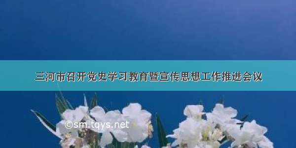 三河市召开党史学习教育暨宣传思想工作推进会议