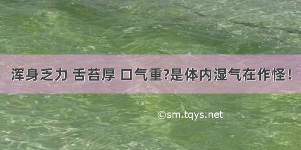 浑身乏力 舌苔厚 口气重?是体内湿气在作怪！