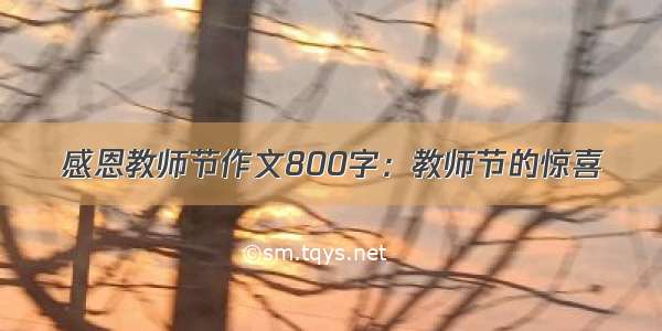 感恩教师节作文800字：教师节的惊喜